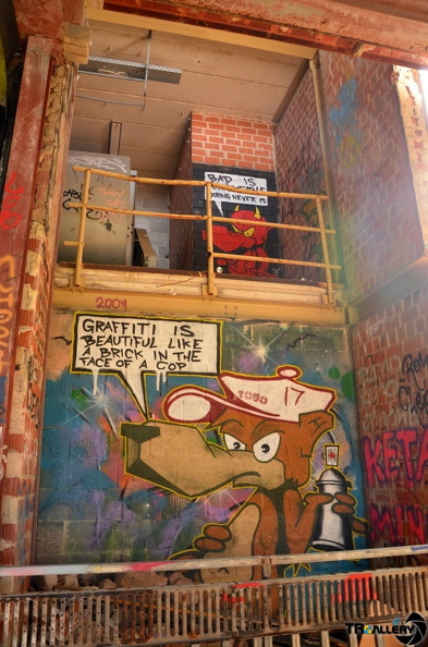 DSC 0031
