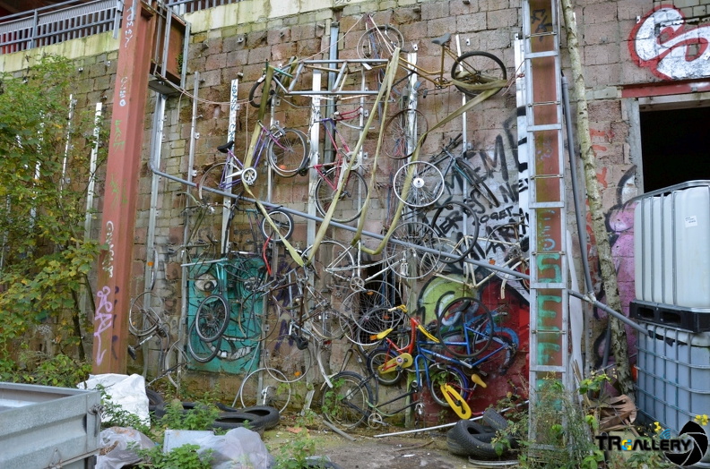 DSC 0063