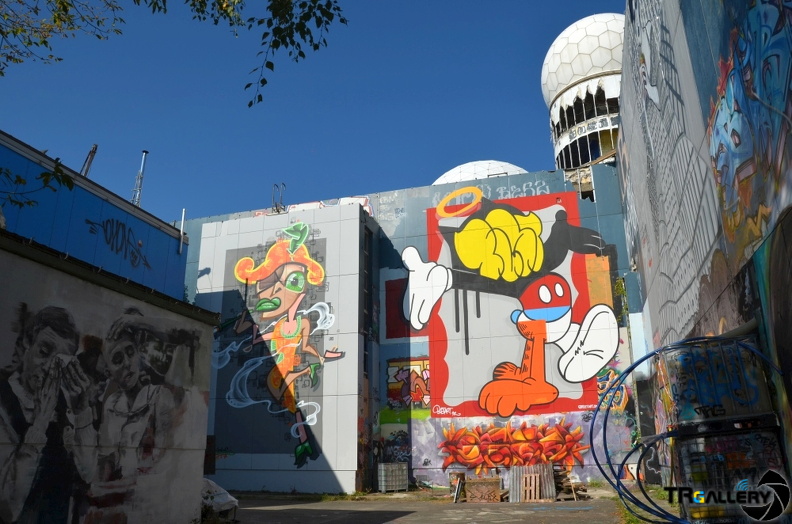DSC 0067
