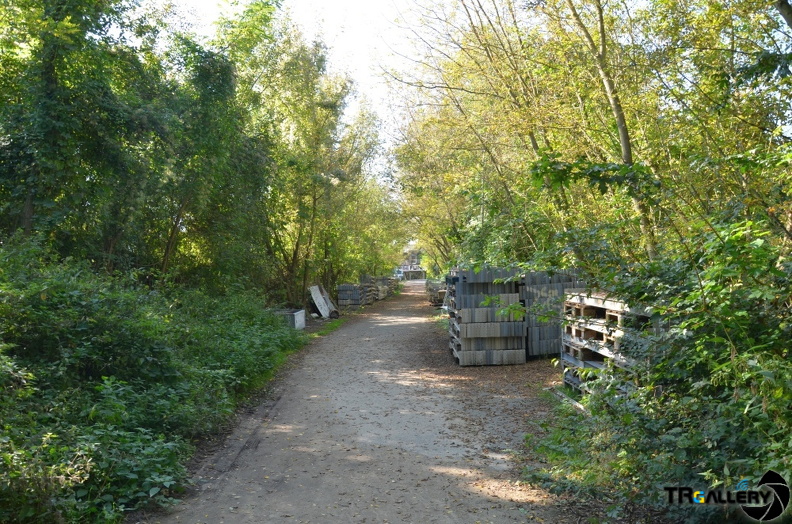 DSC 0071