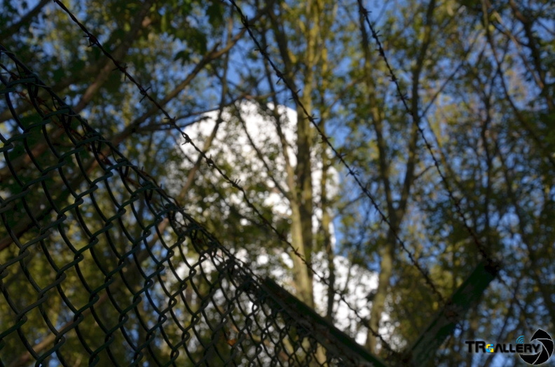 DSC 0097