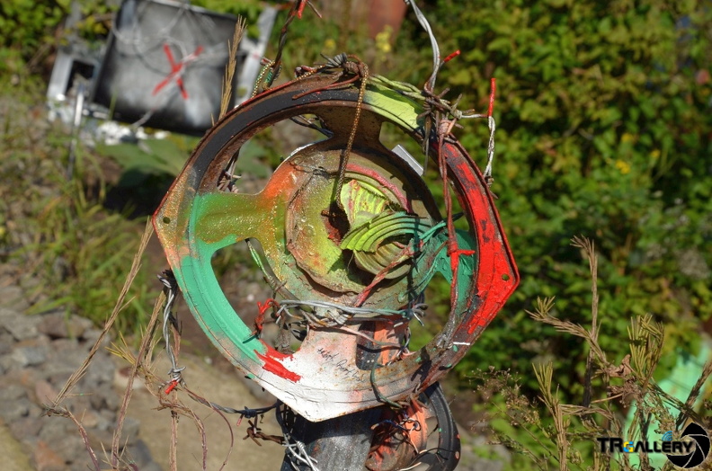 DSC 0007