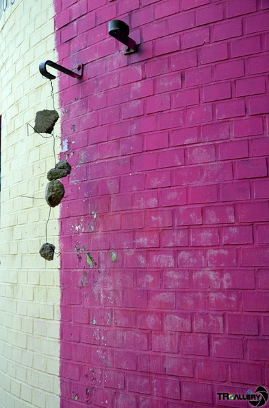 DSC 0013