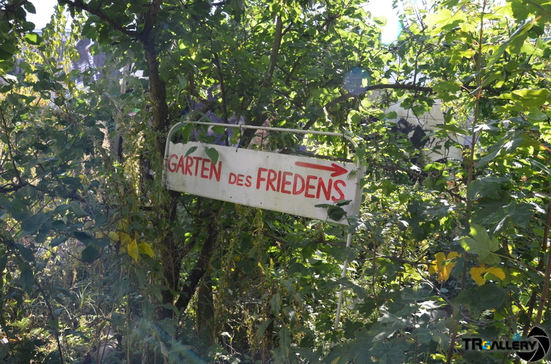 DSC 0015