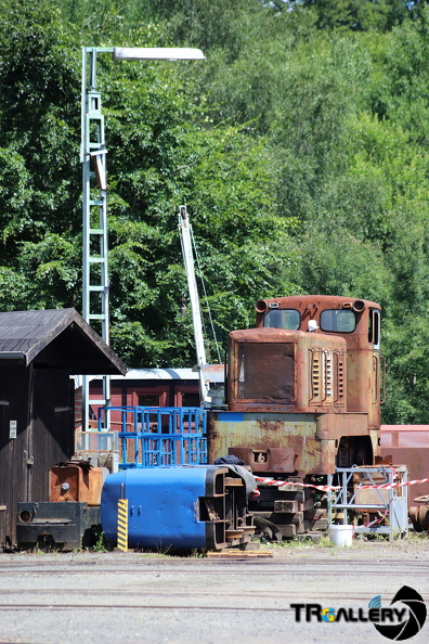 IMG 9985