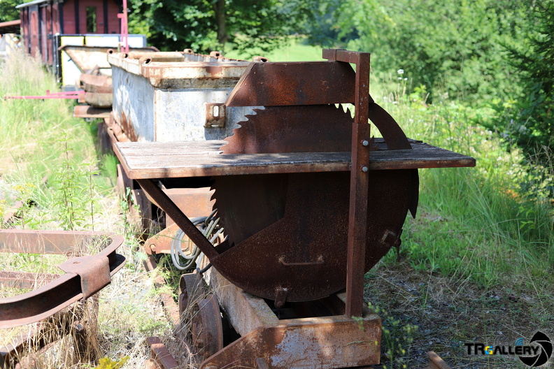 IMG 9883