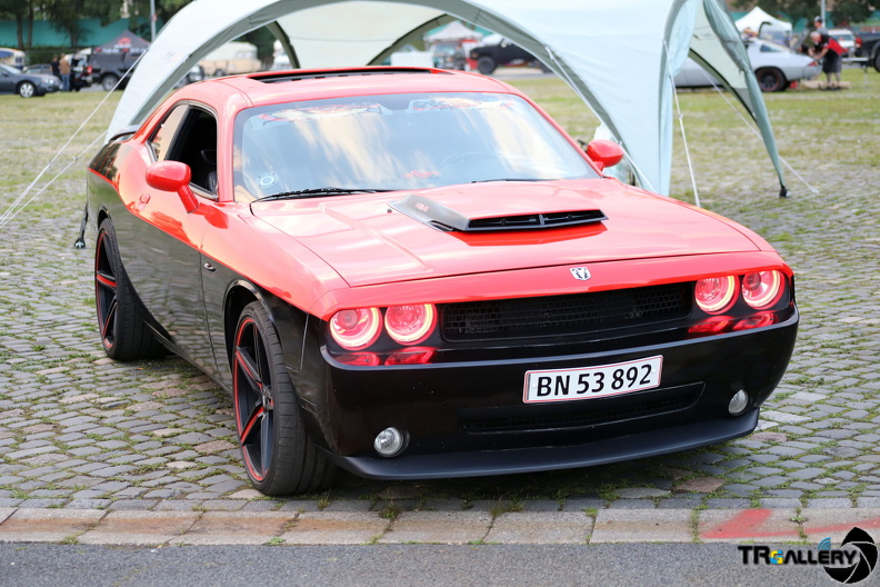 IMG 7635
