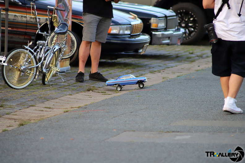 IMG 7458