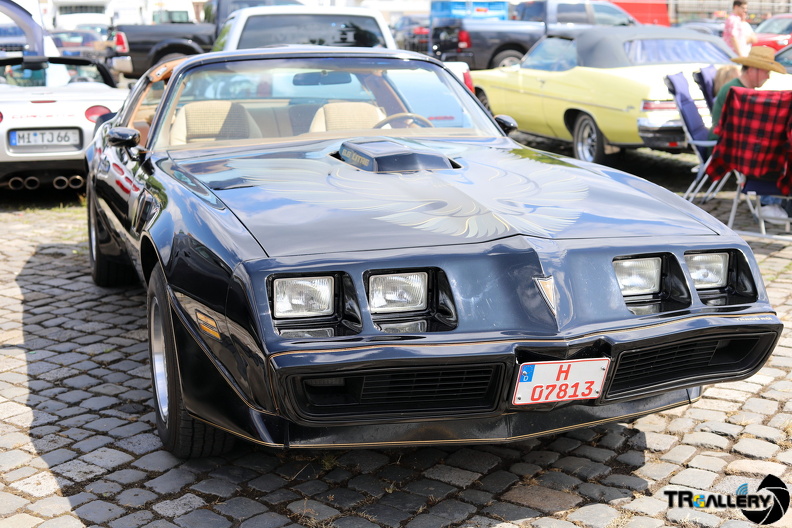 IMG 7349