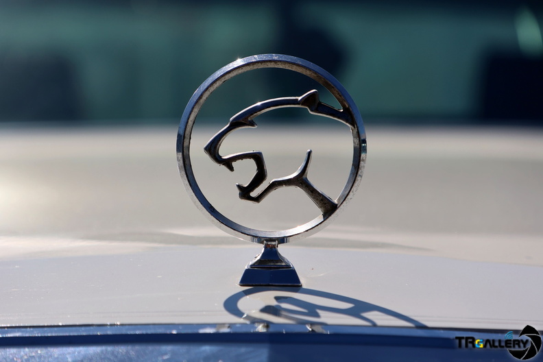 5A3A1966