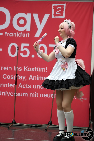 IMG 7685